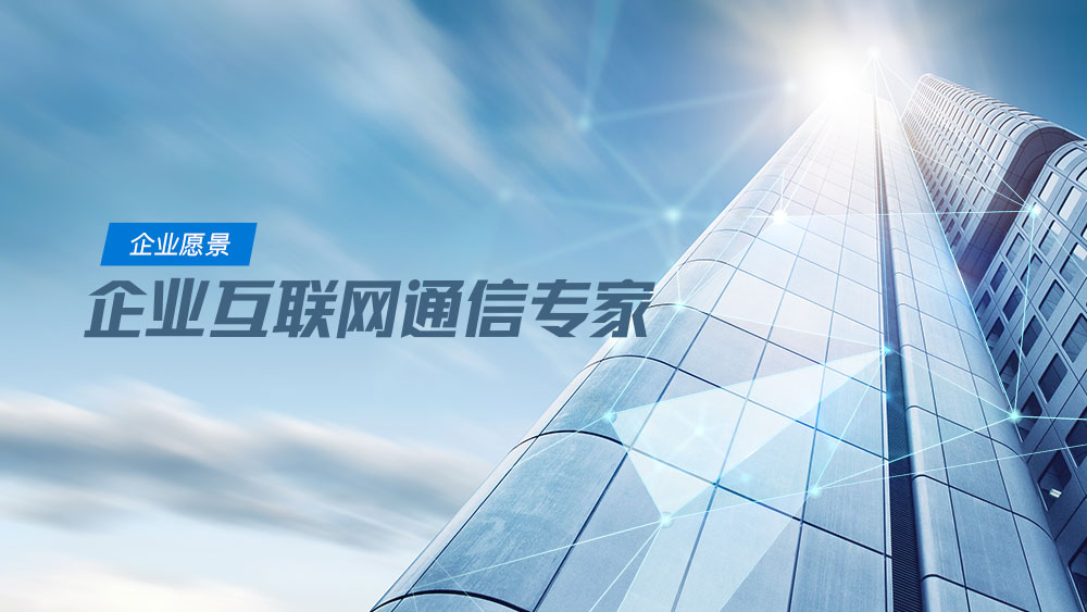 愿景：企業互聯網通信專家